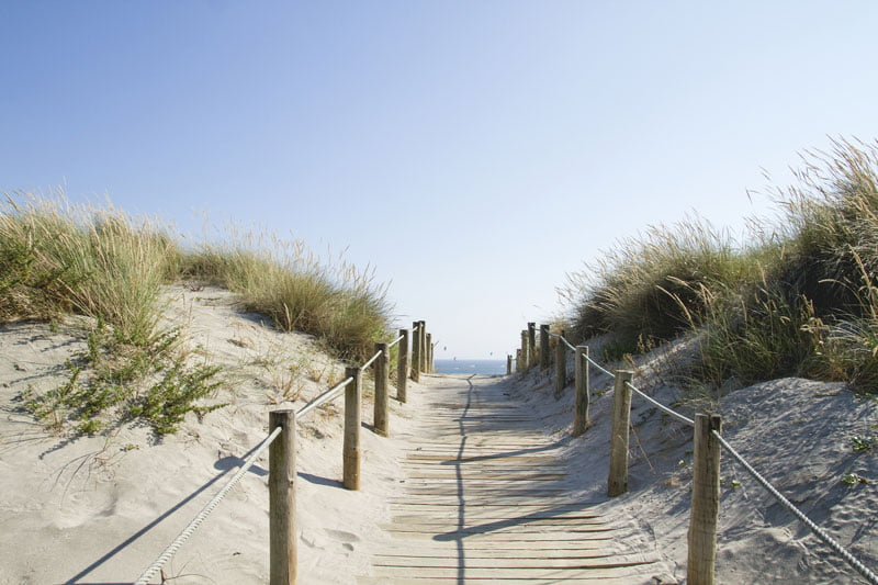 Nuevas habilidades para el sector turístico